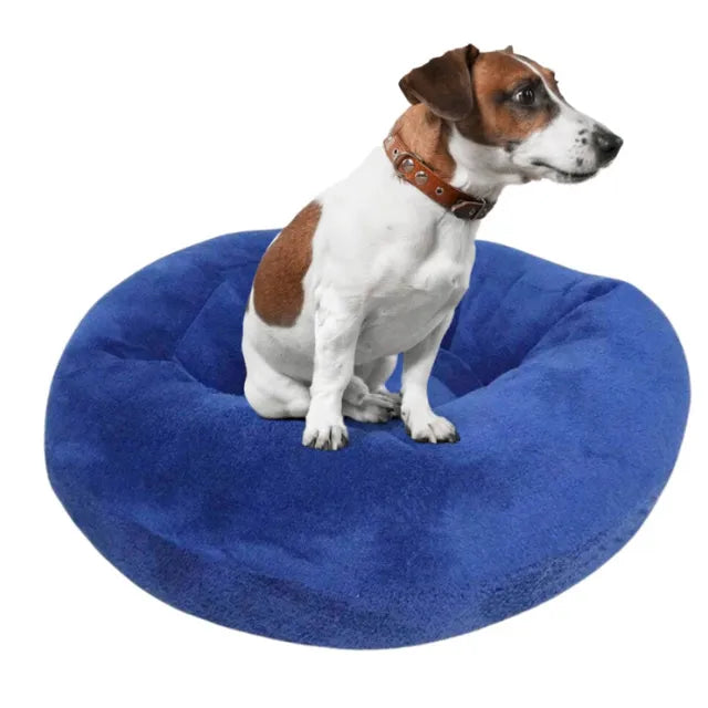 Cama Nuvem para Pets - Conforto Premium